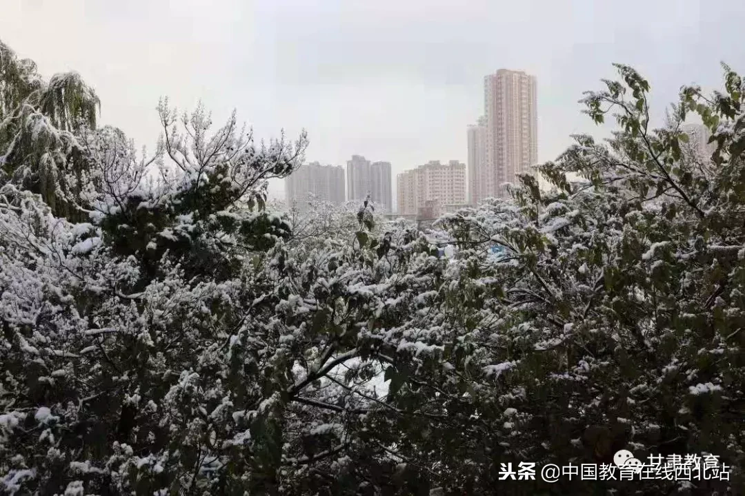 甘肃初雪|甘肃18所高校初学雪景大PK,快来看看有你的母校没?