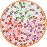 16张色盲色弱测试图，从简单到困难，你能做到第几张图