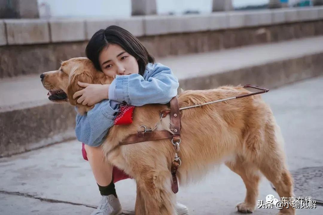 “盲人”吴磊与张子枫，一对“宠物”式友情