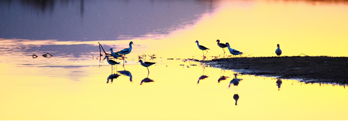 见证全线通水！2021“大美永定”摄影作品征集启动