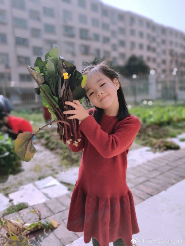 楊威老婆帶仨孩子採摘，樂樂變大力士拎兩筐草莓，高姐姐歡歡半頭