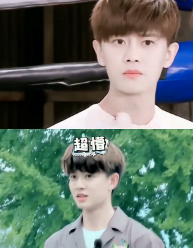 任嘉伦可爱无法抵挡！看完这些图片，你们会想要当壁纸