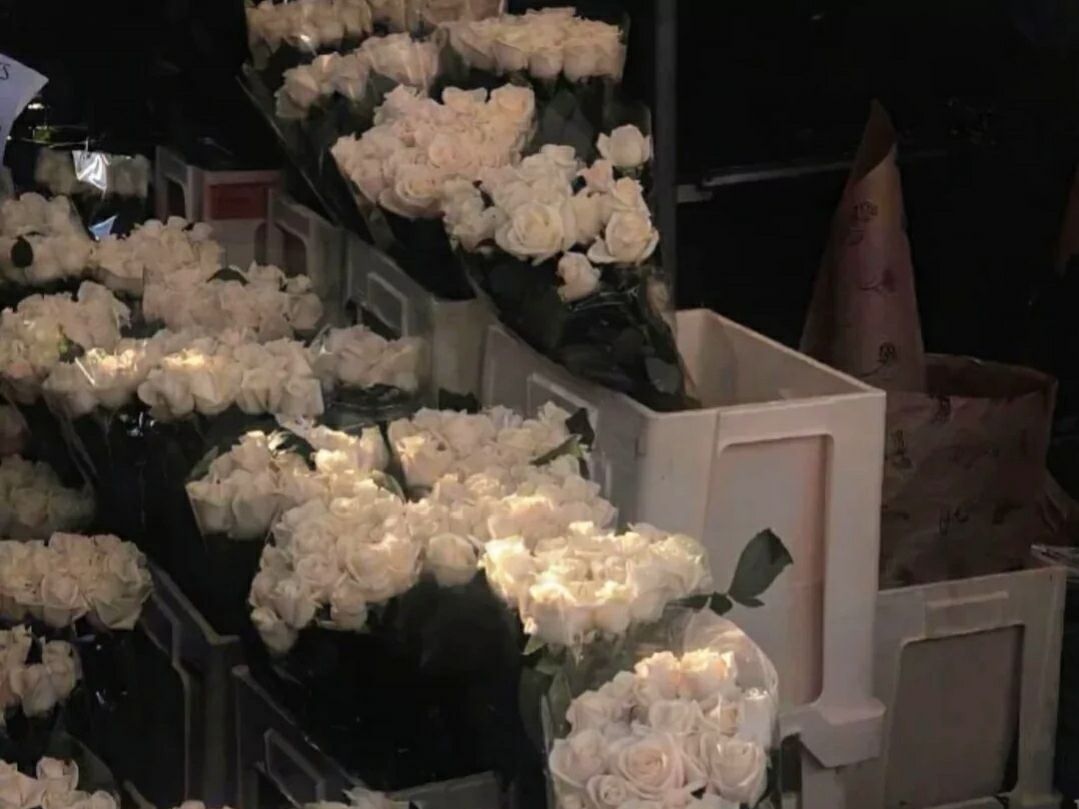 文案：“为了避免结束，所以你避免了一切的开始。”