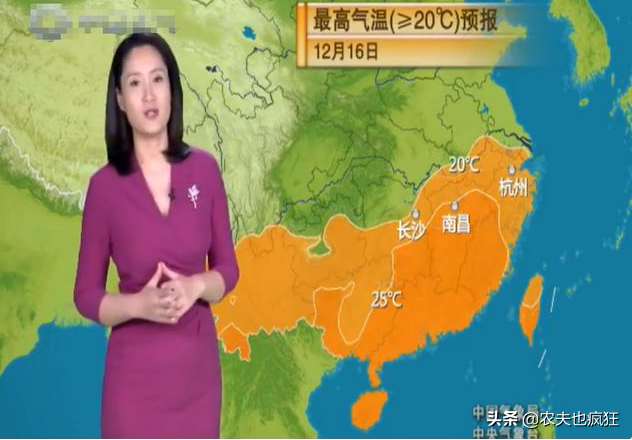 俗语“冬至中，单衣就过冬”，今年哪天冬至？暖冬已成定局了吗？