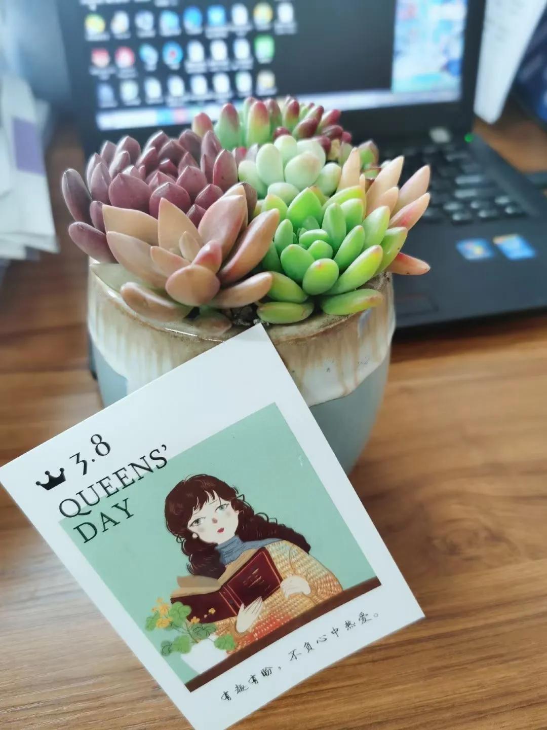 四川天府新区华阳小学老师的浪漫女神节