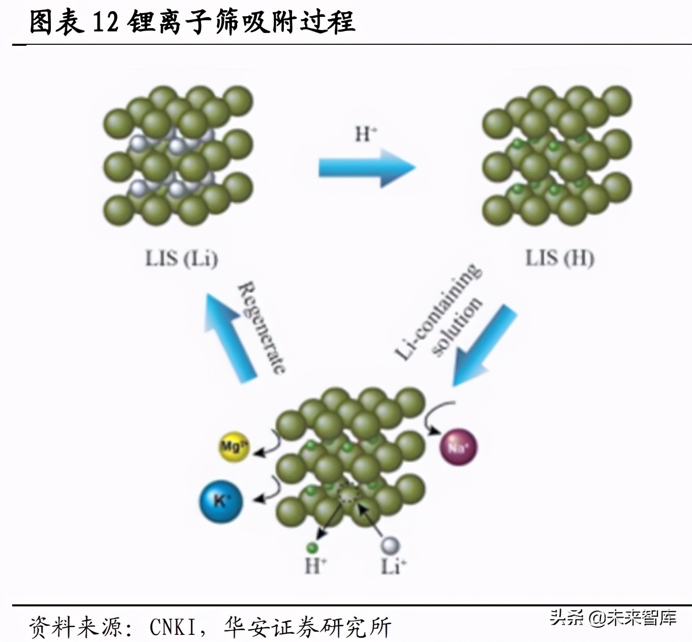 锂资源专题研究报告：盐湖提锂技术路线解析