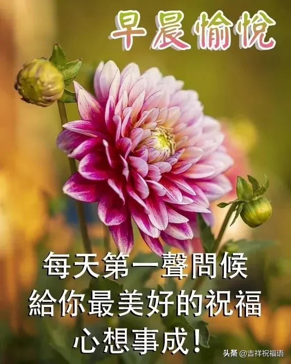 早上好问候语图片 早安祝福语漂亮图片图片