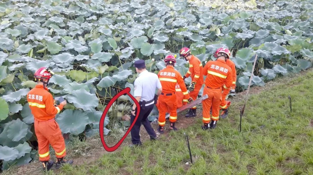奇葩|男子喝断片赤身一夜躺荷塘，路过居民误以为是“尸体”吓得报警