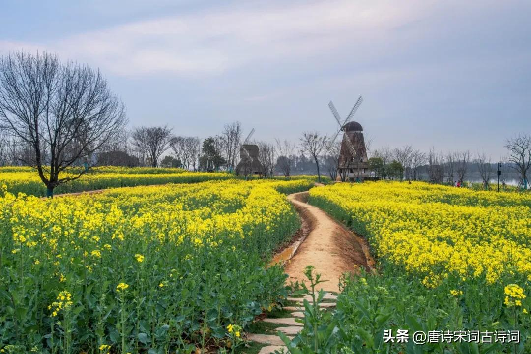 走在乡间的小路上-第3张图片-非凡网 走在乡间的小路上-第3张图片-非凡网