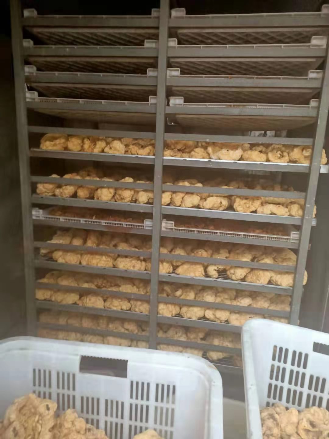 从医废厂、殡仪馆收货？被国人追捧的胎盘，实则只是带血的垃圾