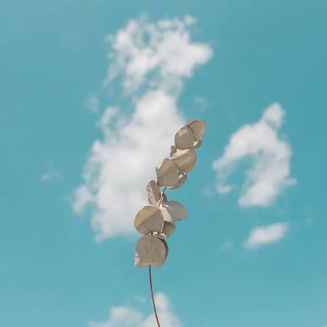 对生活充满美好的句子 未来可期的正能量句子图片