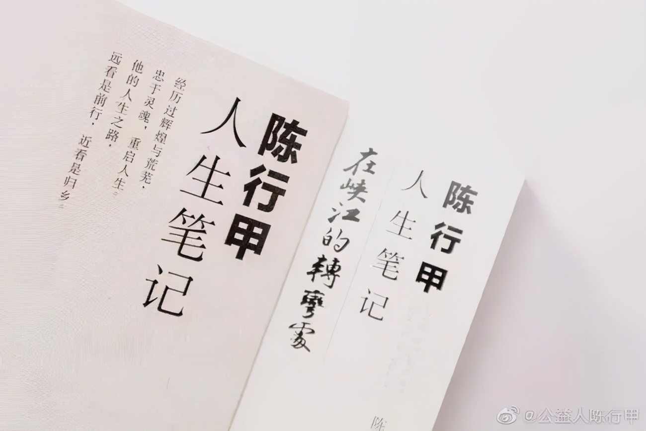 “网红书记”陈行甲再次喊话拼多多高层：不该这样明目张胆地无耻