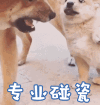 他心怀愧疚，借钱赔付了医药费，没想到…
