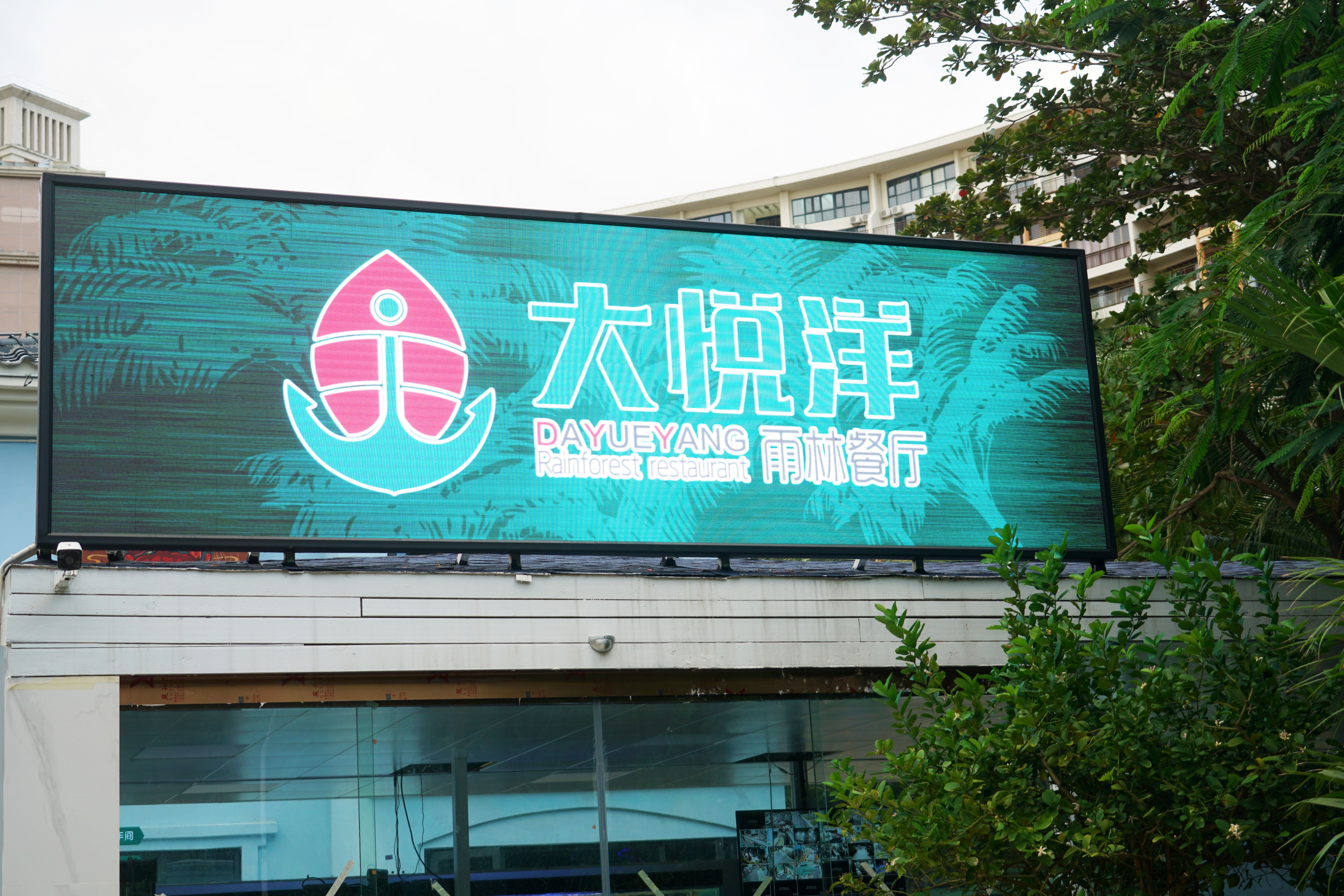 冬天旅行首选目的地，三亚吃喝玩乐全攻略，给你最悠闲的海岛时光