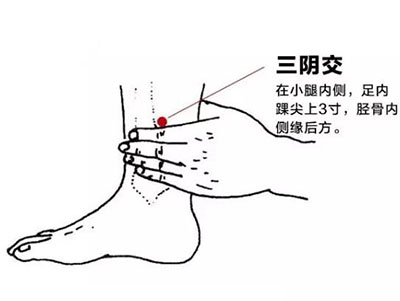 保健名穴——三阴交