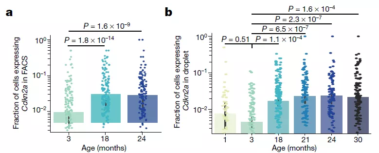 Nature背靠背 | 揭示衰老秘密（一） ：小鼠衰老组织的单细胞图谱
