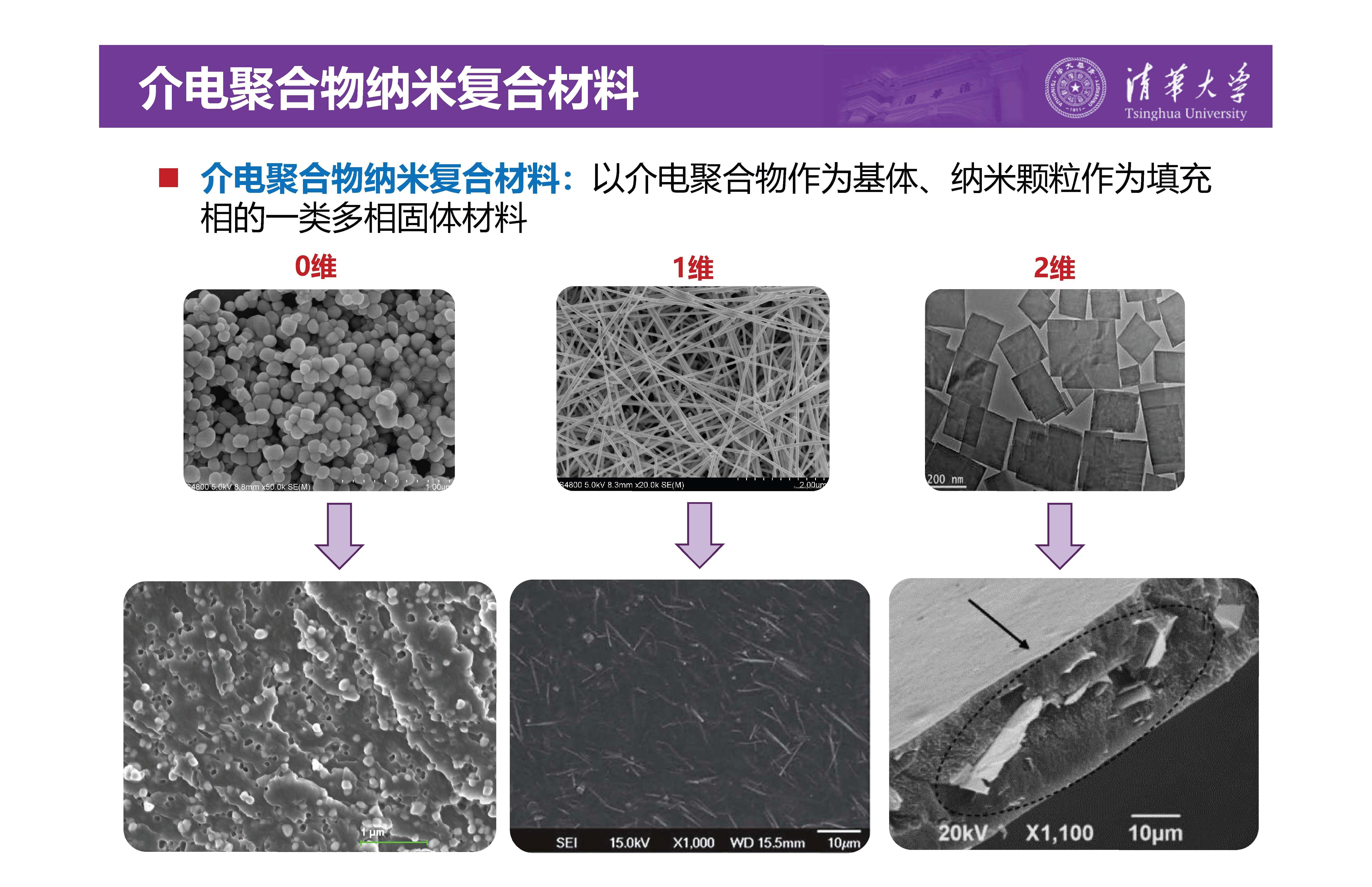 清华大学李琦副教授：介电纳米复合材料界面微区的原位测试技术