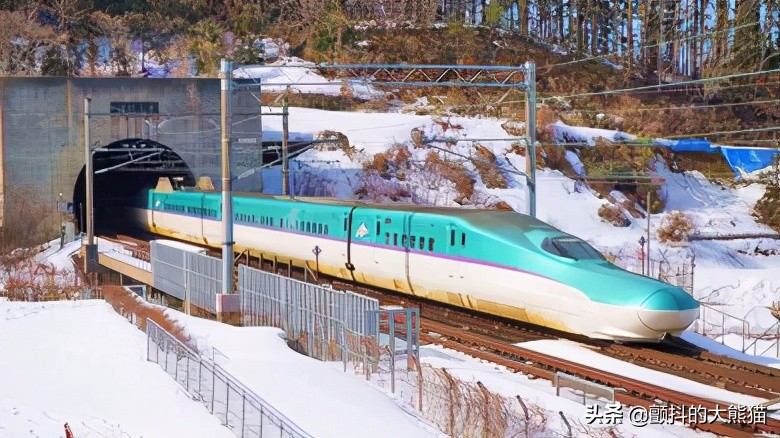 日本車站便當之旅 新青森站青森色彩御膳東北新幹線 隼號10週年 顫抖的大熊貓 Mdeditor