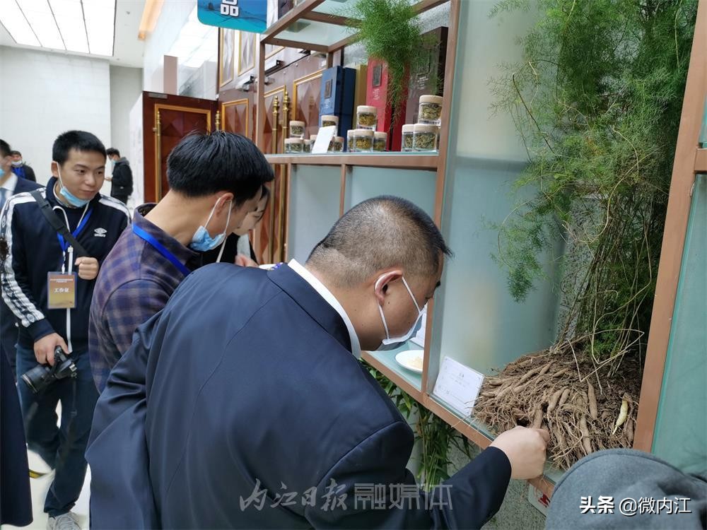 这个大会，让大家看到了内江中医药产业发展的春天