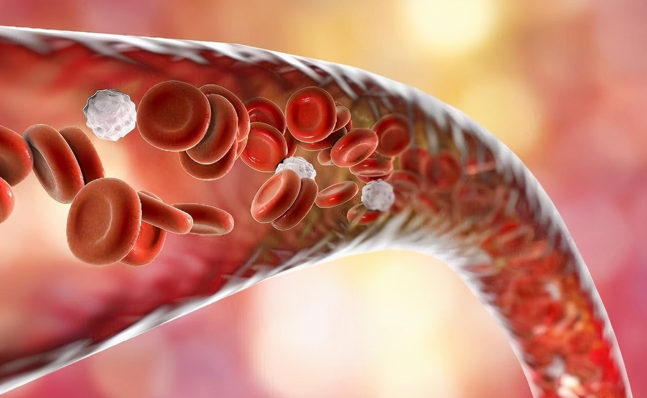 減肥�最猛烈�的食物，不僅能幫你瘦身，還能帶來這些好處