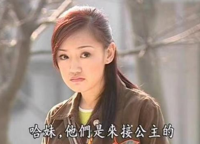 41岁陈好被邀重聚粉红四美，42岁哈妹无戏拍，上