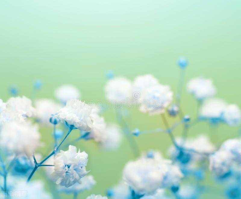 时光惊雪，谁的盛时锦年，醉了流年，痴了芳华-第2张图片-非凡网