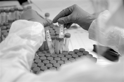 警钟敲响！美实验室人造冠状病毒事故频发