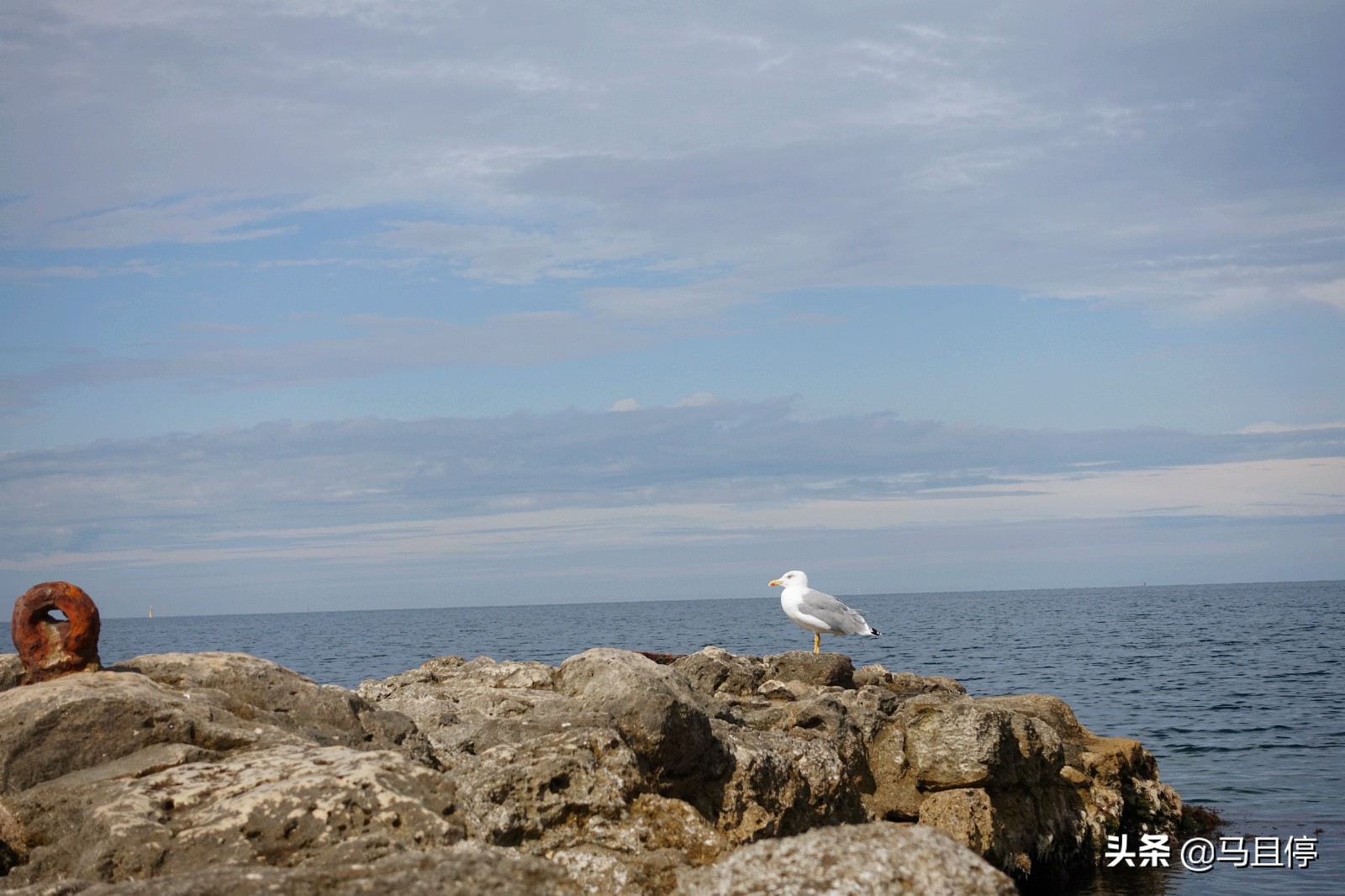 Why do Chinese tourists only go to Moscow?  In fact, there are niche places in Russia, you can see the style of the Black Sea