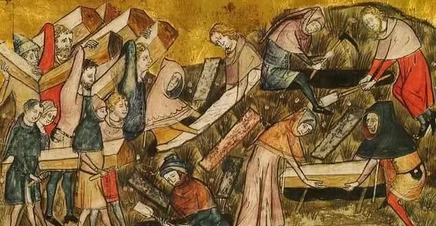 基因证据：中世纪黑死病如何传播致欧洲六成人口共2亿人死亡？