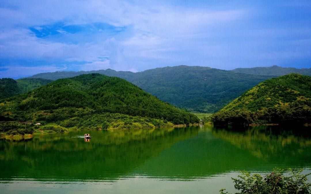 林草科普|中国生物多样性保护 - 重庆林业篇