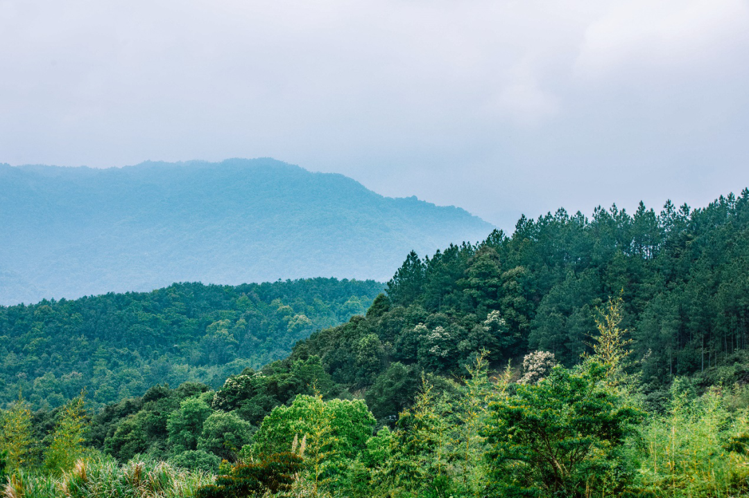 源溪里山｜2020年蝉联福州别墅销冠，荣耀再续