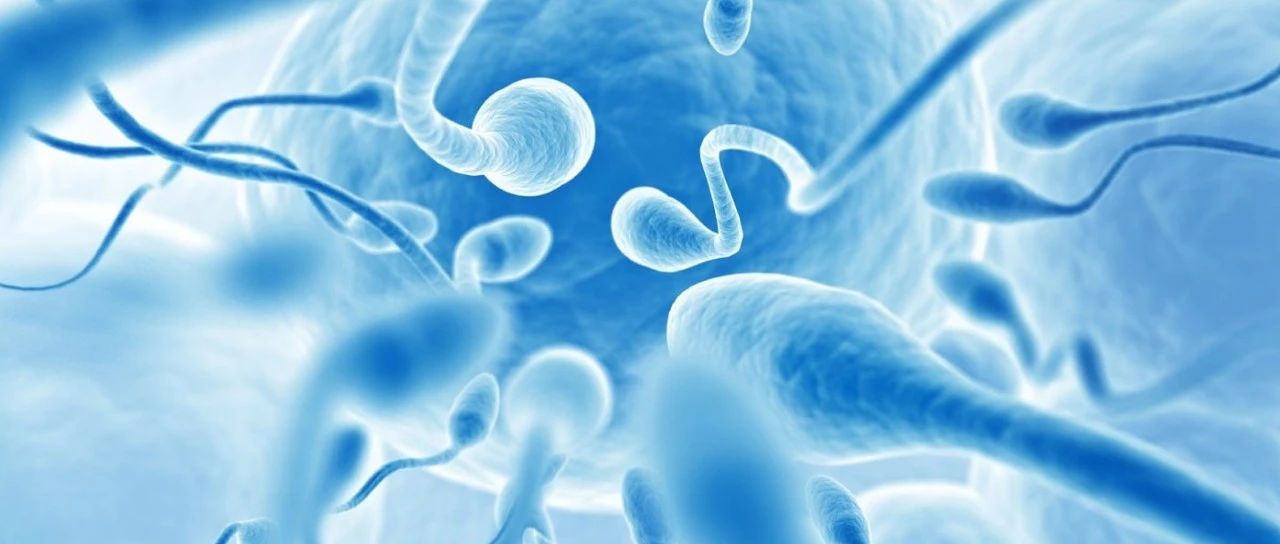 精子在女性体内能存活多久？