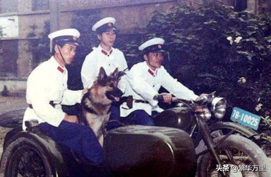 围歼东北二王兄弟，1983年，为何抽调了3万多军警