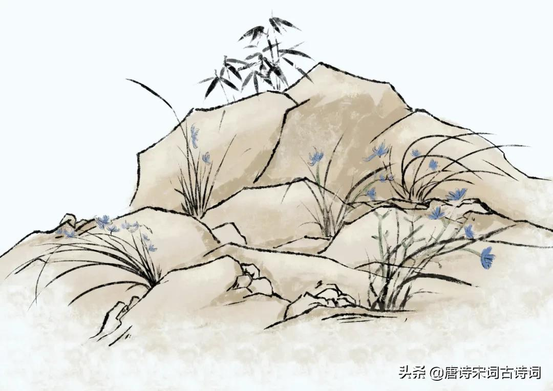 春兰如美人,不采羞自献-第3张图片-非凡网 春兰如美人,不采羞自献-第3张图片-非凡网