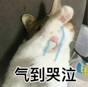 " my times your times " " my love " CP scatters candy ceaseless! Does Hu Yitian confess refuse? 