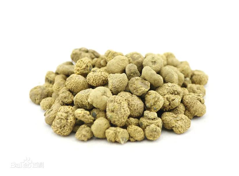 《本草纲目》故事：延胡索止痛