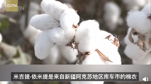 Be able to bear or endure gram, roll a China please, xinjiang cotton you do not deserve to use