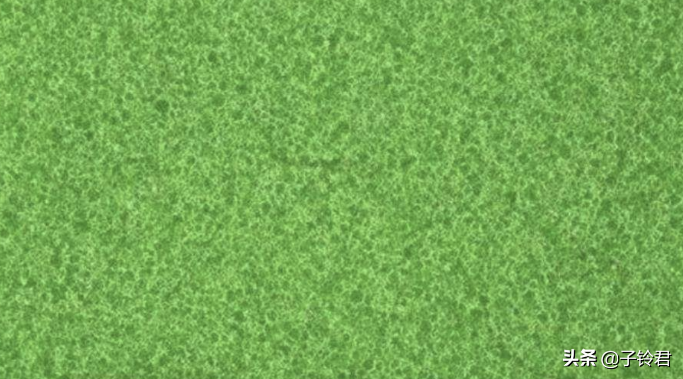 飞行员的视力测试图，认出2个是行家，全部认出