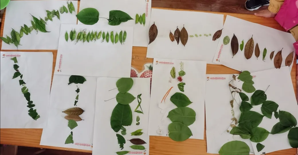 眼睛的秘密——四川天府新区华阳幼儿园南区小一班安全主题活动