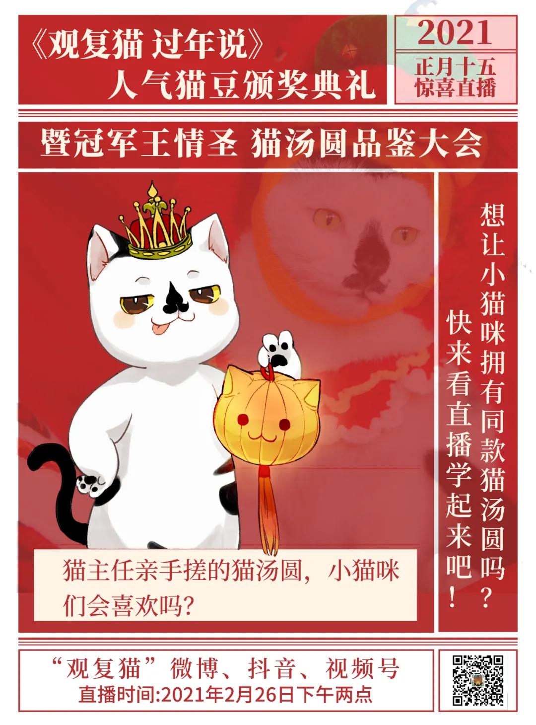 怎样能让小猫咪也吃到元宵节汤圆呢？_观复猫- MdEditor