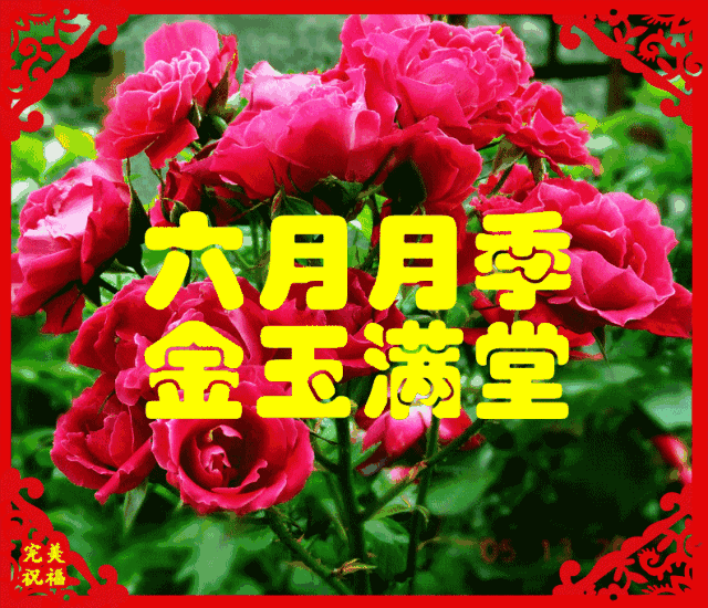 今日元宵节，祝福送上