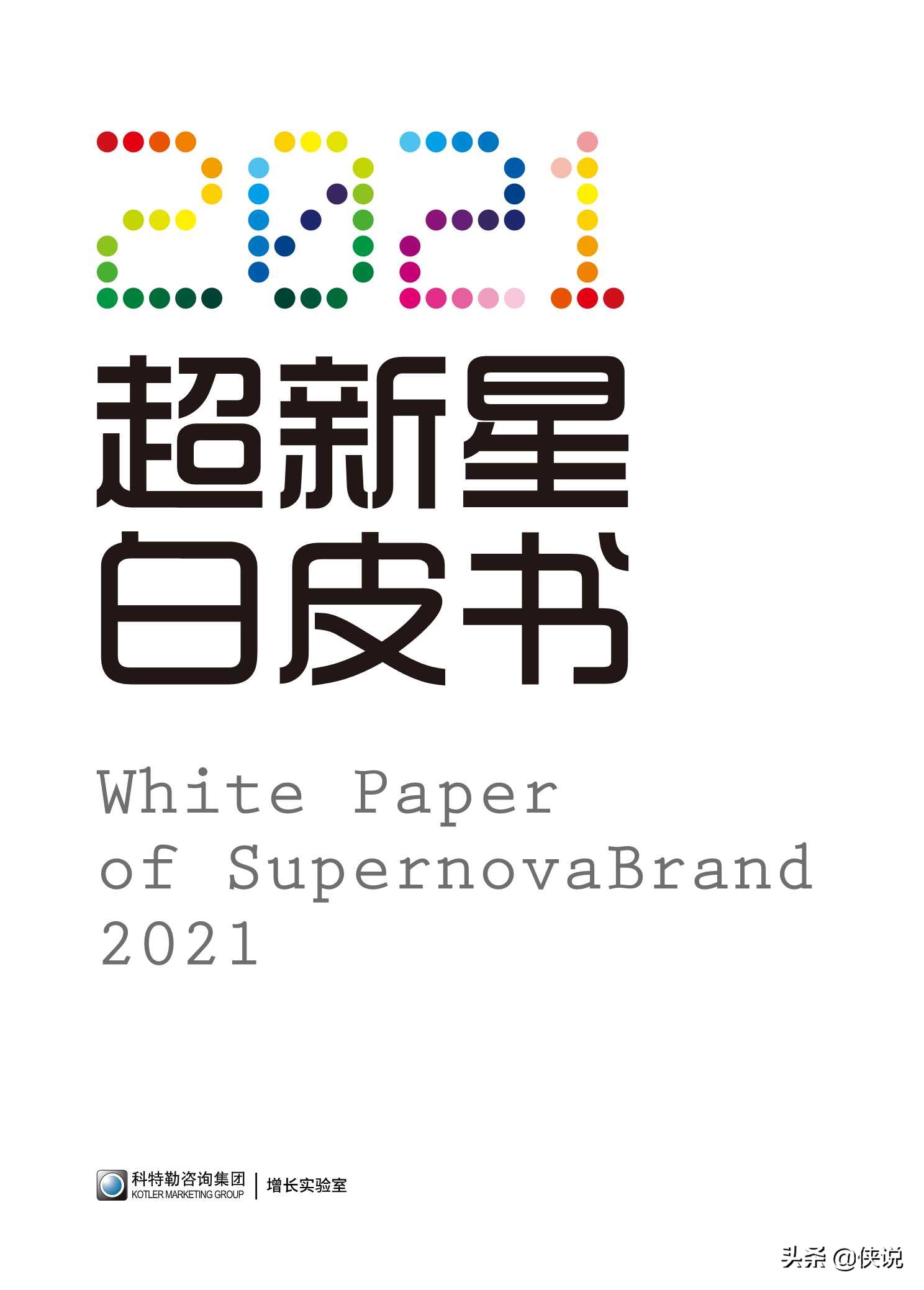 品类细分，需求挖掘：2021超新星品牌白皮书（推荐）