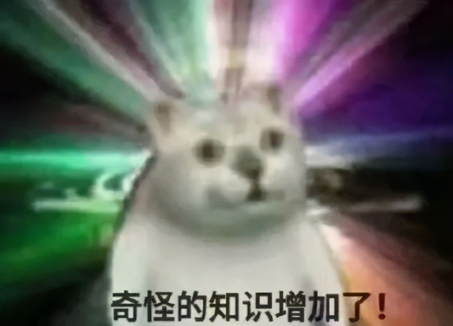 这些品牌名的由来，有点意思