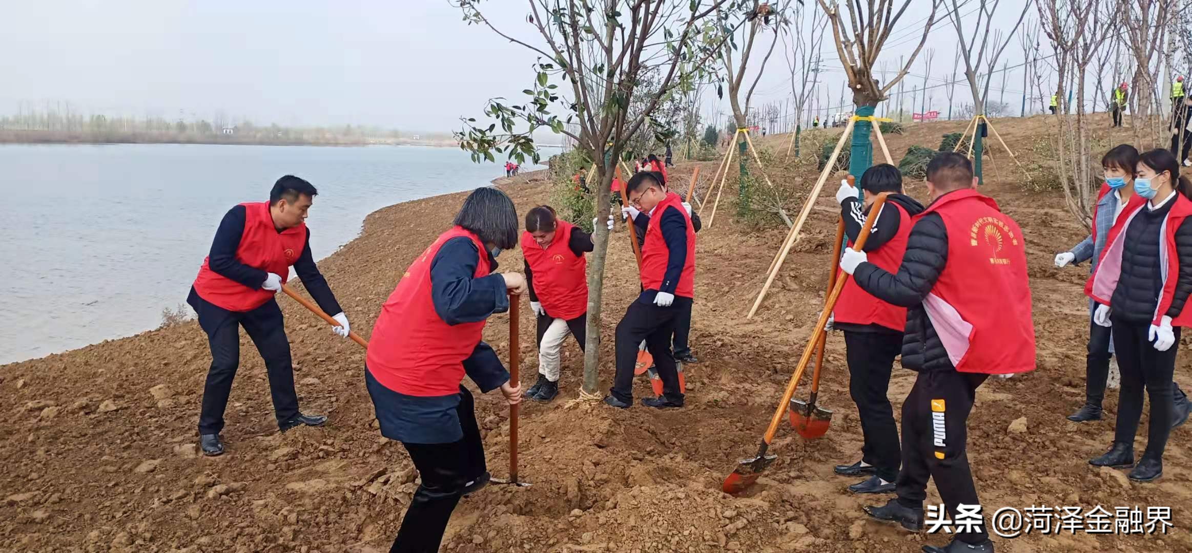 曹县农商银行：播种希望 与绿色同行