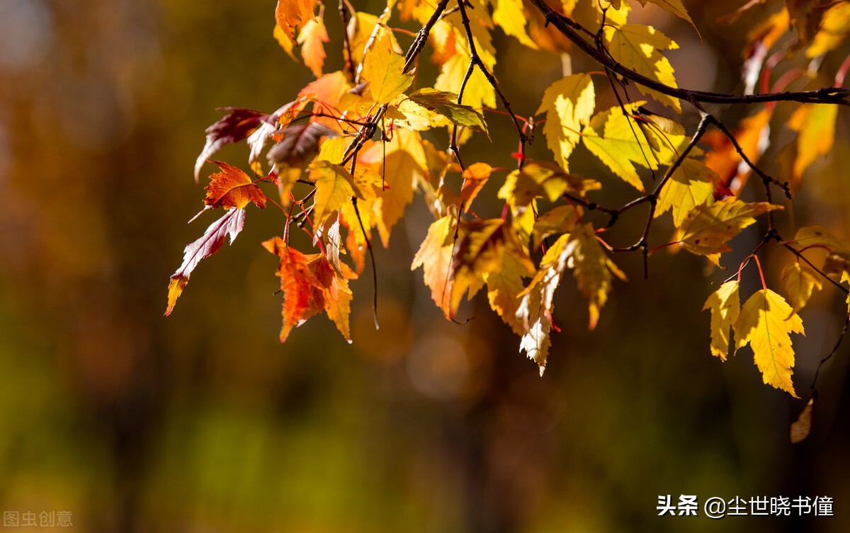 刘长卿这首诗情景交融，虽然只有寥寥数语，但是每一句都很感人-第5张图片-非凡网