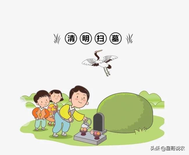 清明将至，哪一天上坟最好？农村俗语“上单不