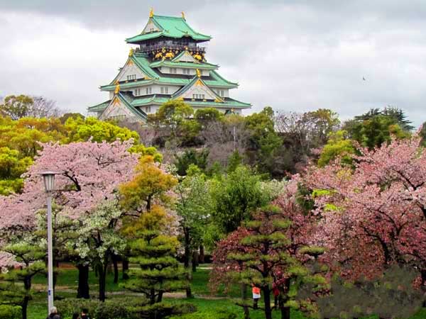 日本琦玉助威北京国安足球队亚冠赛（图）