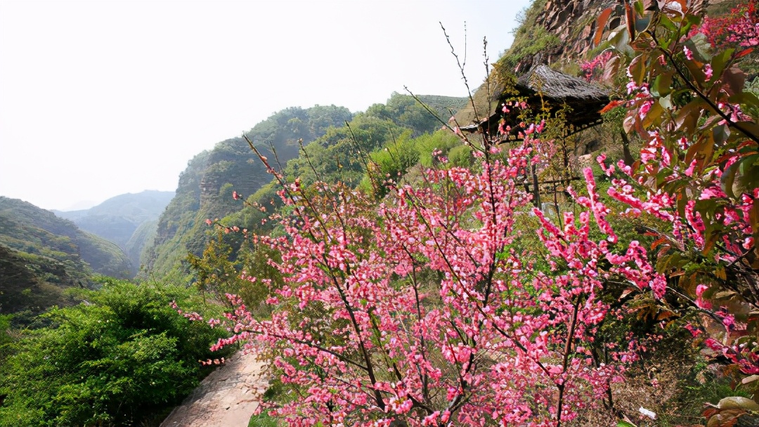 “五一”踏青赏山花 圣山灵水九龙峡