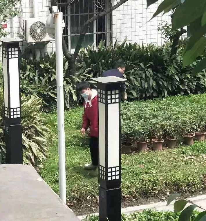 卫生是根本 运动是方式丨双流建校开展春季校园爱国卫生运动