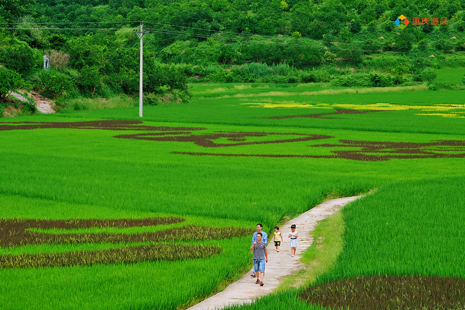 全国乡村旅游重点村解析：重庆29个村入选，和其他省市比怎么样？